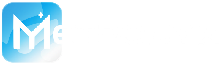 Metronyx - AI Search Optimization Agency | Google & AI SEO Services